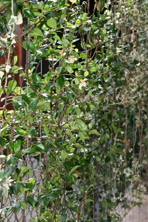 Le Tre Arti B&B San Zenone Exterior foto